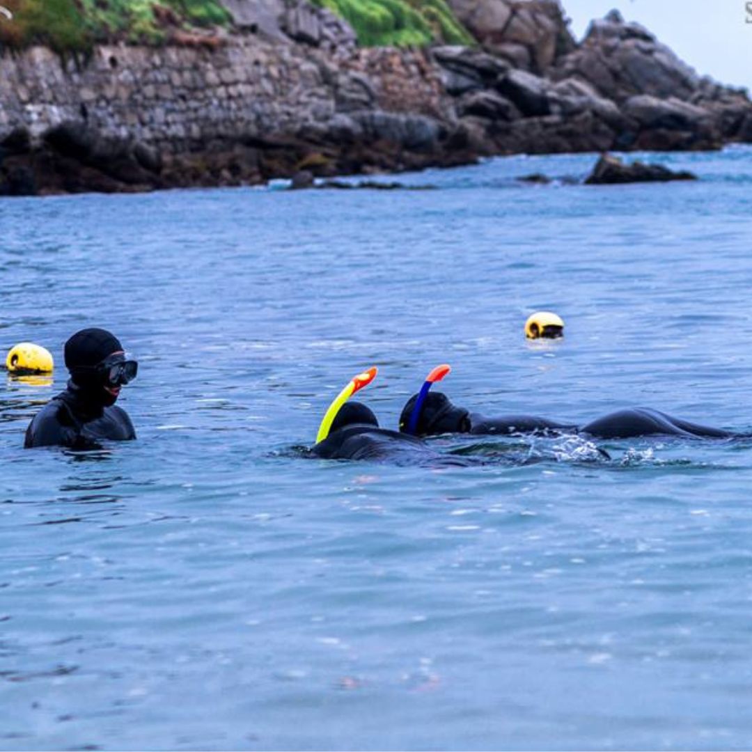 VIAJE PARA DOS, VIÑA DEL MAR - 3 Noches en Viña, Buceo, Kayak, City tour - Imagen 4