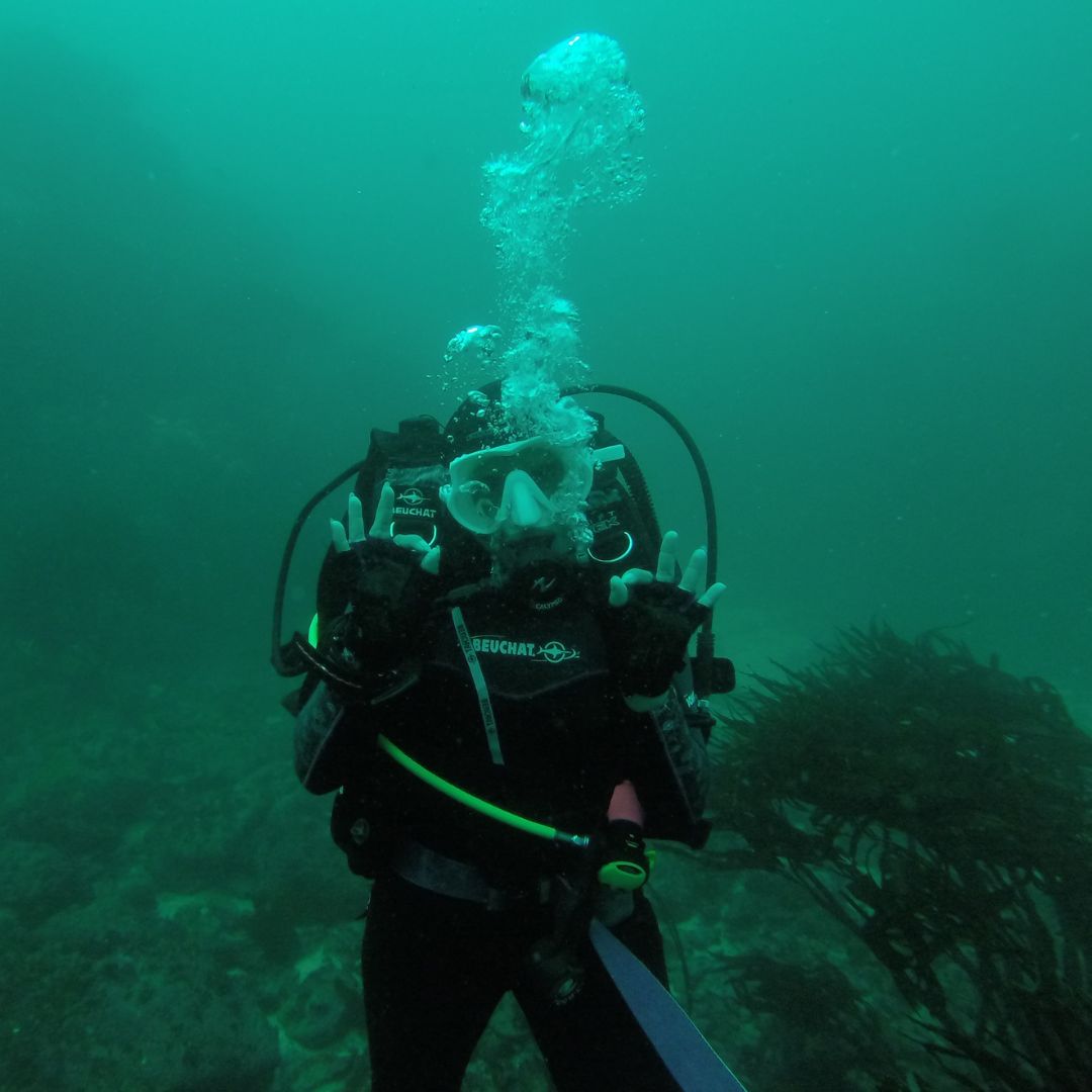 VIAJE PARA DOS, VIÑA DEL MAR - 3 Noches en Viña, Buceo, Kayak, City tour - Imagen 5